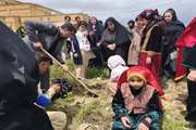 کاشت نهال درکانون ایلام به یاد شهدای جنگ رمضان
